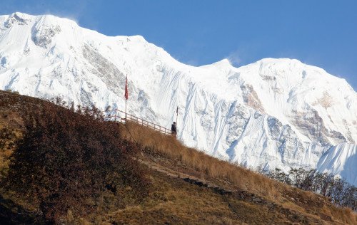 Mardi Himal Trekking